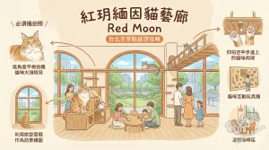 紅玥緬因貓藝廊 Red Moon