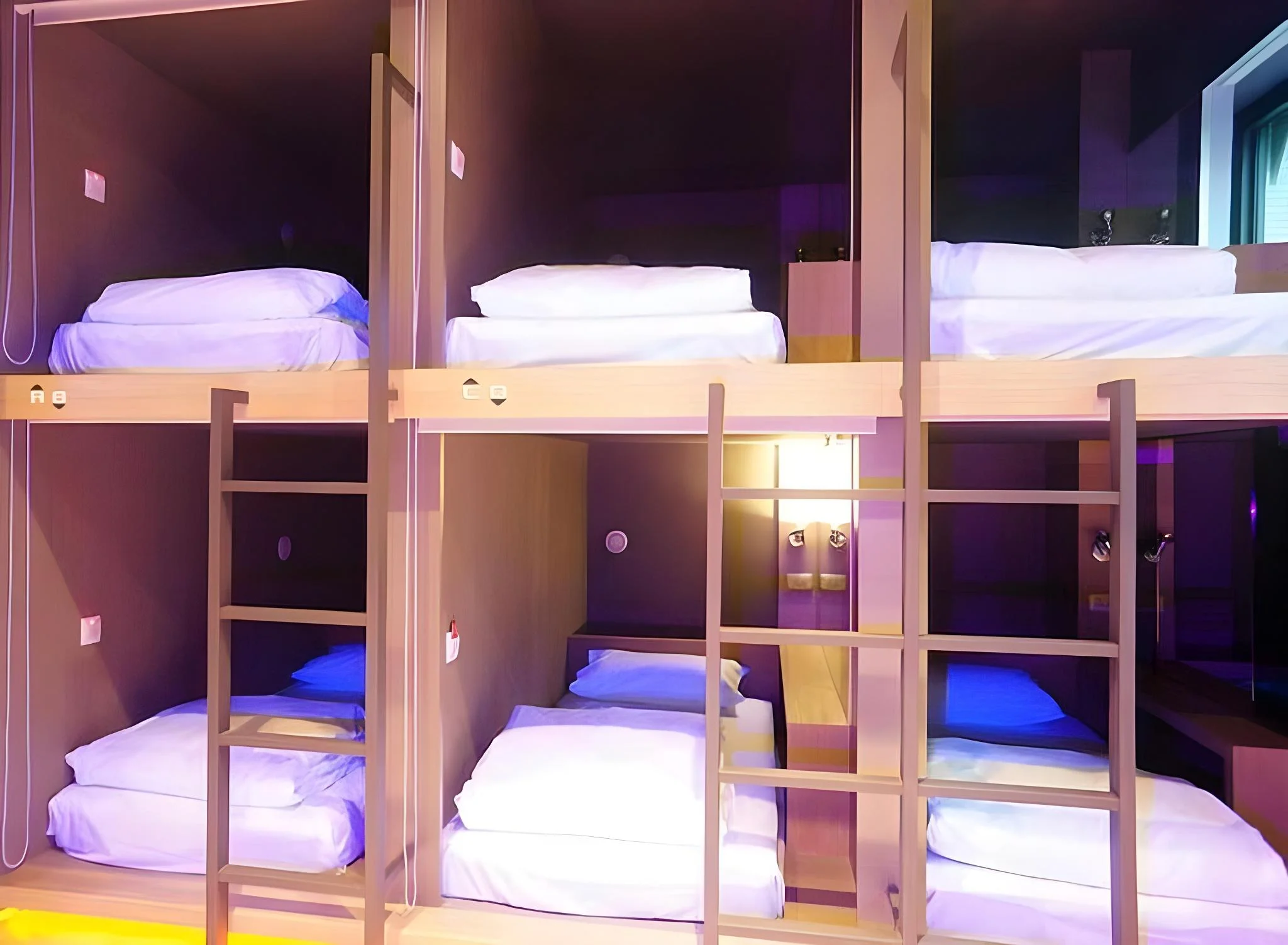 女生宿舍 (Dormitory -- Female Only)