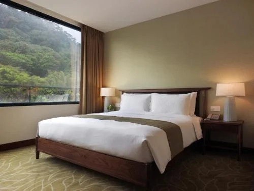 豪華特大雙人床房 (Deluxe King)