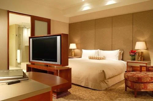 單人套房 - 禁菸 (Suite Single Room - Non Smoking)