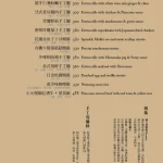 松果院子 menu 4