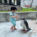 臺北市立動物園 3