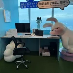 台北101觀景台 9