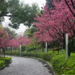 國立中正紀念堂 15