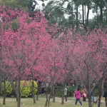 國立中正紀念堂 16